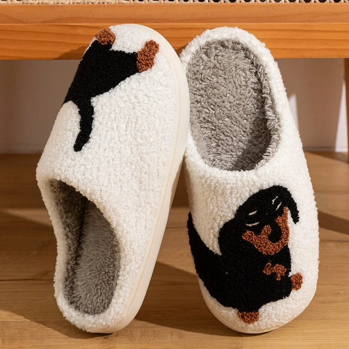 Frankie Teckel Pantoffels